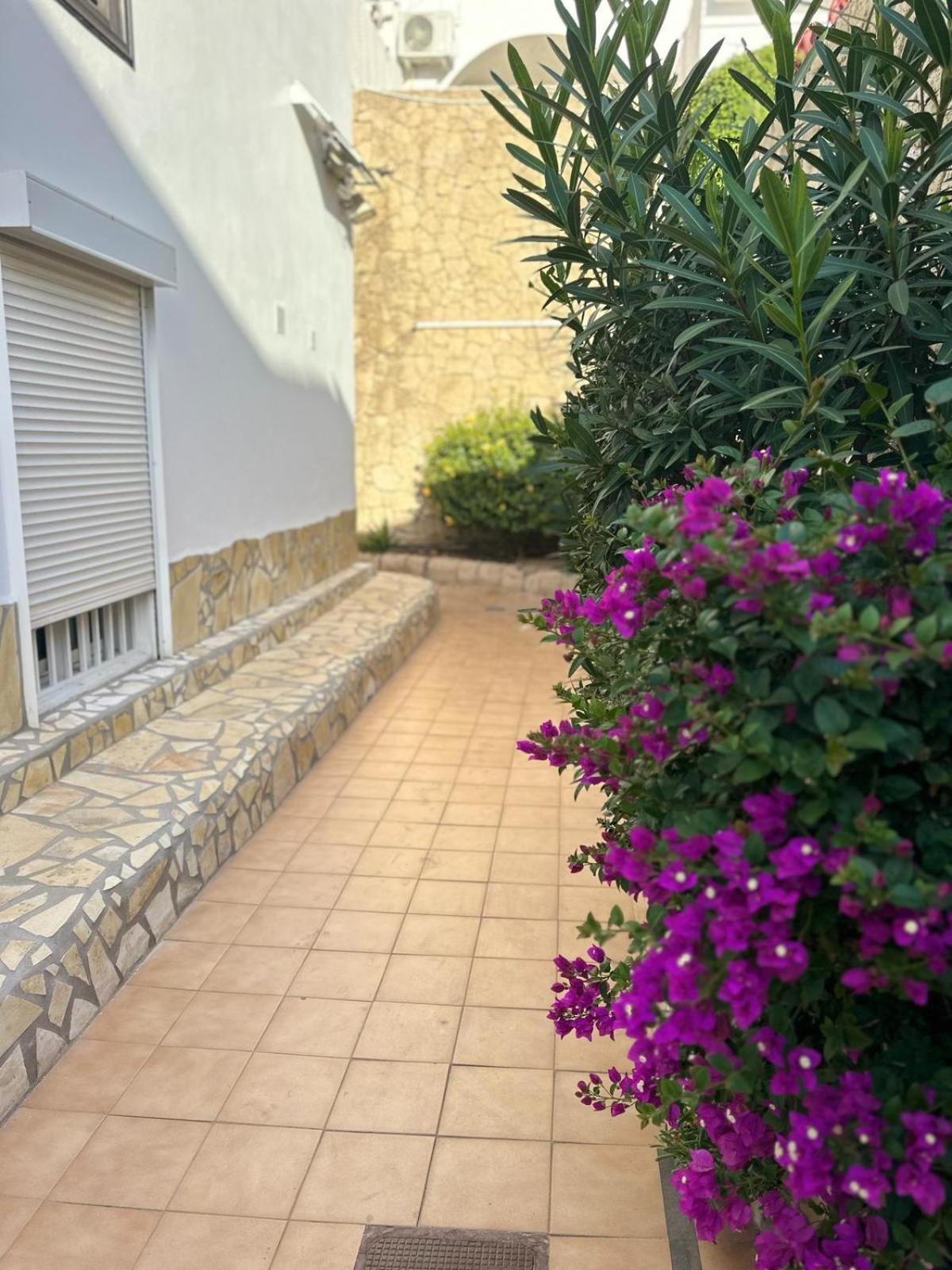 Sunny Sea View Apartment Center Of Las Americas Плая-де-лас-Америкас Экстерьер фото
