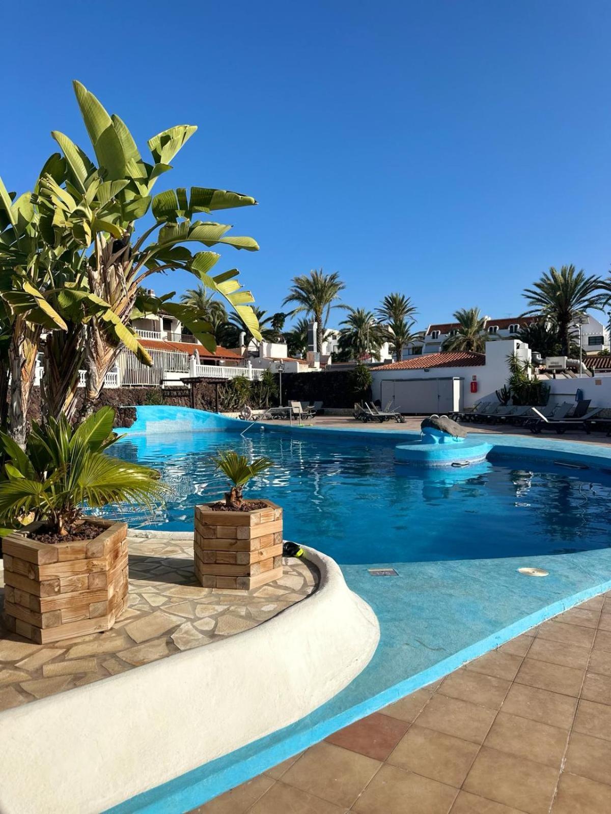 Sunny Sea View Apartment Center Of Las Americas Плая-де-лас-Америкас Экстерьер фото