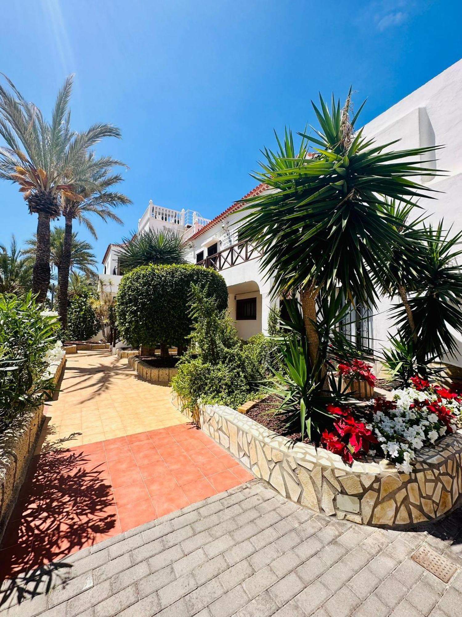 Sunny Sea View Apartment Center Of Las Americas Плая-де-лас-Америкас Экстерьер фото